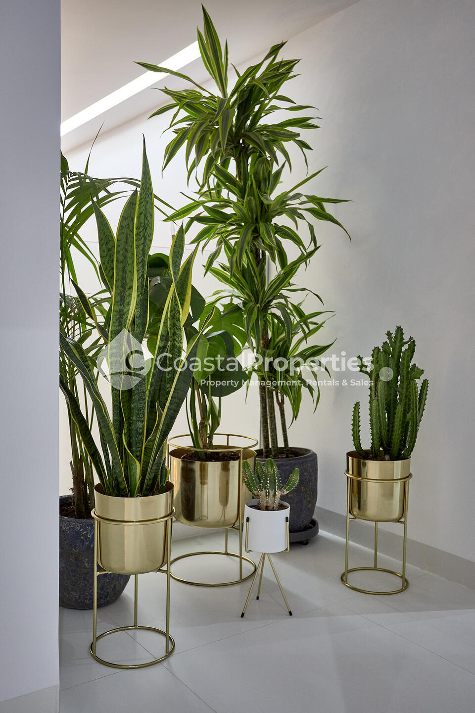 CPM- 043 CASA EVE: Villa for Sale in Vera Playa, Almería CPM- 043 CASA EVE: Villa for Sale in Vera Playa, Almería