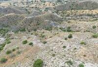 CPM- 042 FINCAS RÚSTICAS : Terreno en venta en Mojácar, Almería