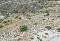 CPM- 042 FINCAS RÚSTICAS : Terreno en venta en Mojácar, Almería