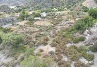 CPM- 042 FINCAS RÚSTICAS : Terreno en venta en Mojácar, Almería